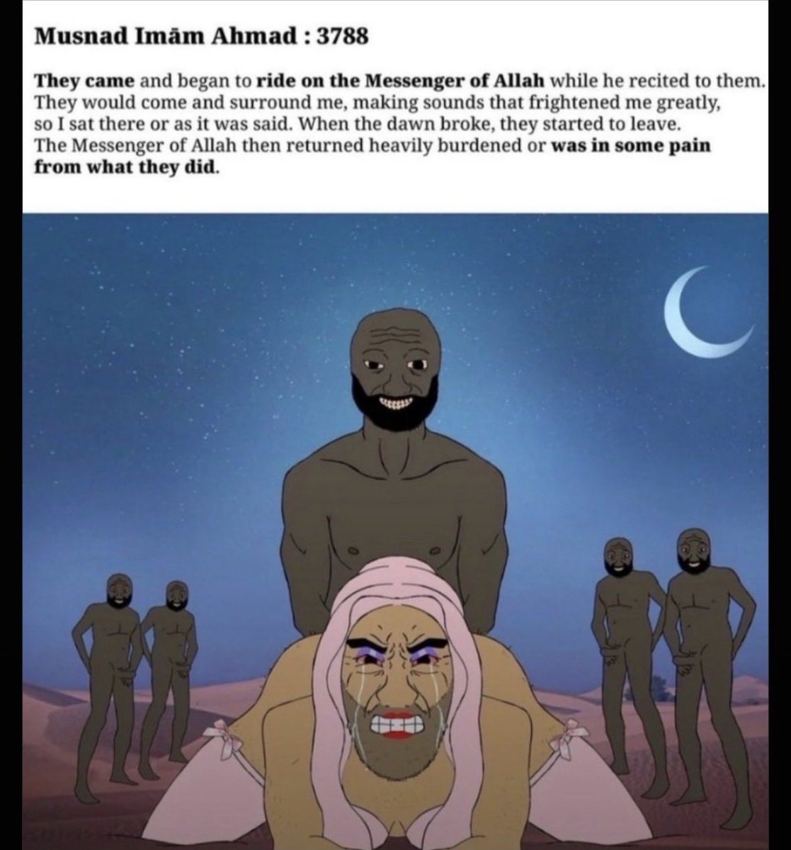 Shwetaswhite's tweet photo. @OMAIR219 @Aqeel03553133 @T_RexRoars Sex story pad lunga lekin tumahara jihadi book  quran padke dusro ko and kud ko bomb se nahi udaunga, wooow kya gyaan ki nation Loki hai. Ahmed ne wooow 😂😂😂😂😂😂😂 https://t.co/hjMW9OVSZO