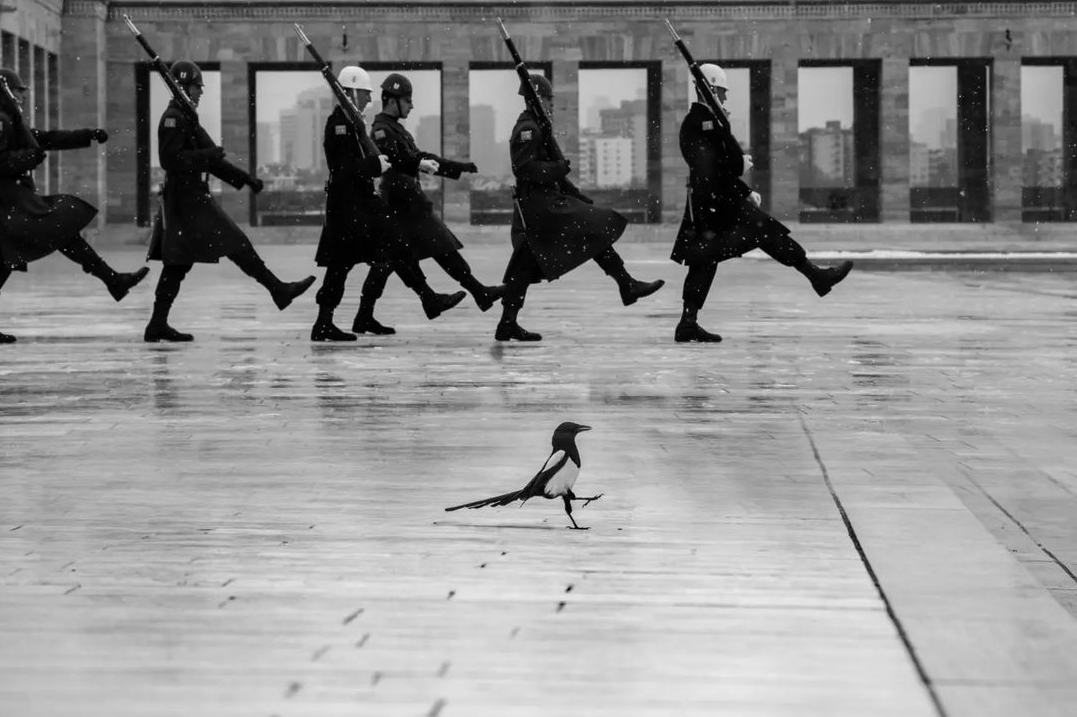 eyeonaxis's tweet photo. The Little Cadet, Ankara, Turkey, 2022, by Fatih Çindemir https://t.co/zCBzn1SC6R