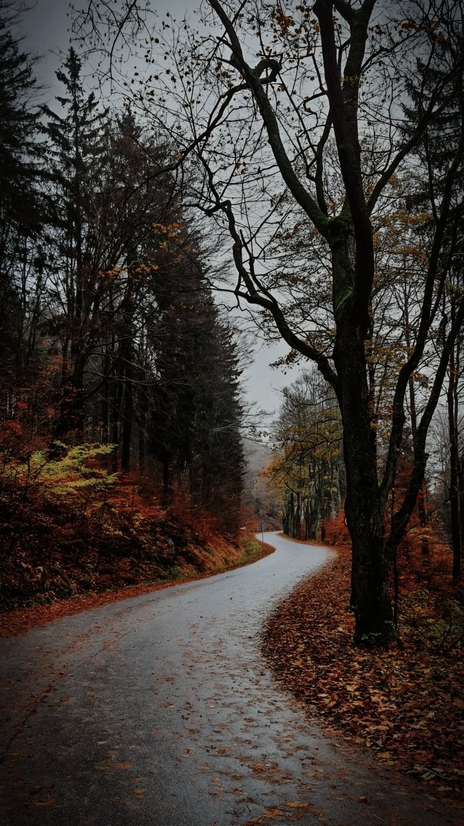 flower6260's tweet photo. Autumn somewhere on earth. https://t.co/py7v33qXWQ