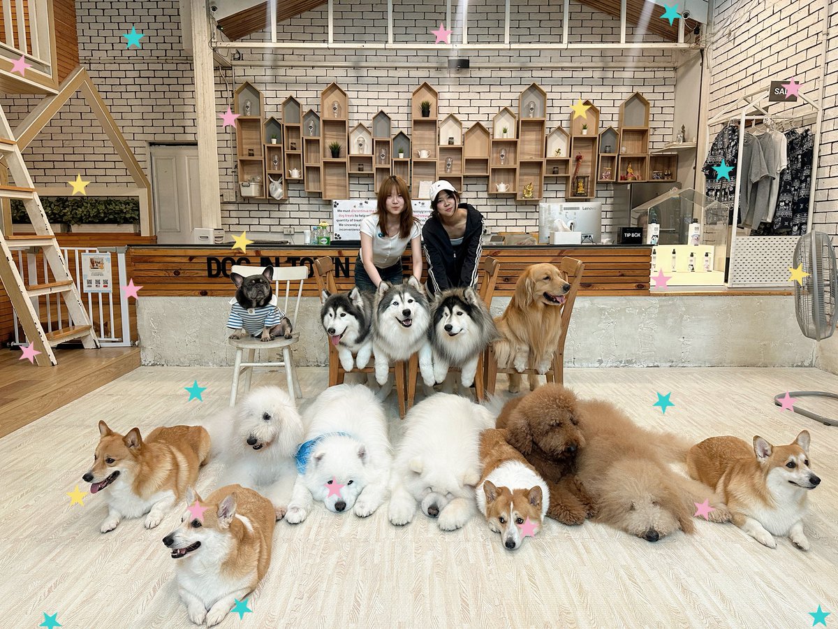 shockmegirls's tweet photo. 🐶🤲🏼💌🎀

♡ Shock Me Date! (3/4)
📍https://t.co/Ivma5wsf7h
♡ Shock Me Date! (4/4)
📍https://t.co/OgpjrhNnDV

#ShockMeGirlsTH #รักช็อตใจยัยช็อตฟีล #KhowjowBNK48 #InkchaBNK48 #BNK48 https://t.co/lfAlbCauSt