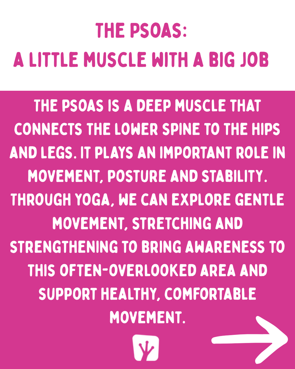 UpwardFrog's tweet photo. Explore the psoas with Helen at Friday Focus 💚 Learn what this deep muscle does and how yoga can support movement, posture & stability. Fri 2 Oct, 6.30–8pm 🐸
#psoas #yogafocus #fridayfocus #yogaanatomy #yogapractice #stockportyoga #stockport #yogastockport https://t.co/22OAyOokg0