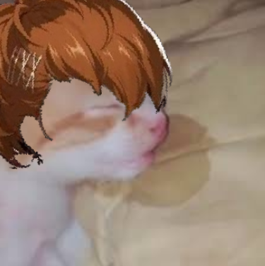 oldrywindsgobyy's tweet photo. hammy is asleep.... honk mimimimimimim honk mimimimimimimimi honk mimimimimim https://t.co/EOcb7DzLZw