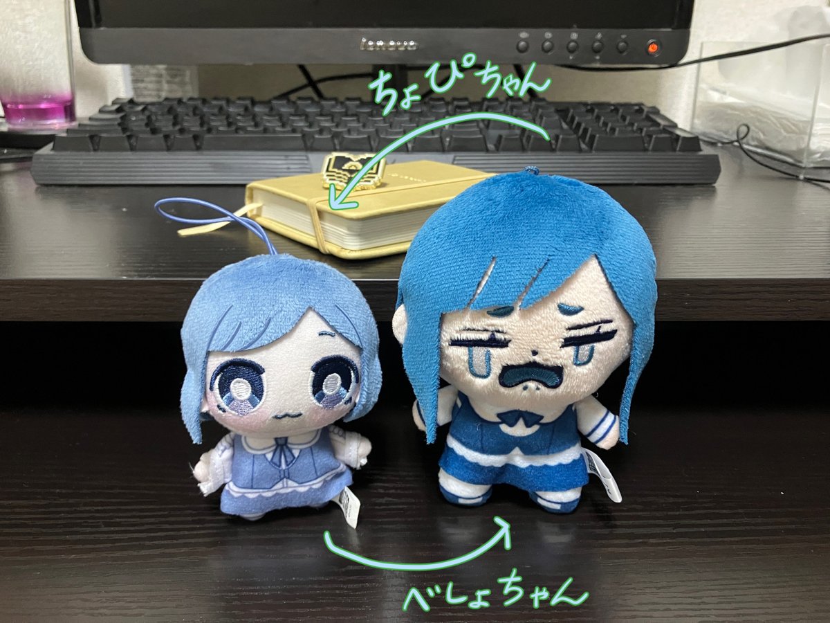 tsuyukusa_0224's tweet photo. 表記ブレをなくすための自分用メモ

あざみーは相手を他人と認識している
センター長は相手も自分と認識している https://t.co/td5rrqPZkK