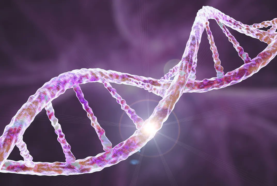 NightSkyToday's tweet photo. 🚨: DNA study suggests humans nearly went extinct 900,000 years ago.  

Scientists estimate that a prehistoric population bottleneck reduced human ancestors to around 1,280 breeding individuals. https://t.co/vAo29JSPnm