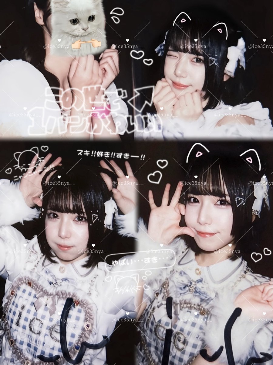 ice35nya__'s tweet photo. ⌢⌢⌢⌢⌢⌢⌢⌢⌢⌢⌢⌢⌢⌢
 ﹉﹉﹉﹉﹉୨୧﹉﹉﹉﹉﹉

　               𝟢𝟫𝟤𝟤
     𝙷𝙴𝚁𝙾𝙸𝙽𝙴𝚂 𝙻𝙴𝙰𝙶𝚄𝙴 𝙸 
              𝚒𝚗 𝙽𝙰𝙶𝙾𝚈𝙰

      #あいすが食べたい 🍨
 ﹍﹍﹍﹍﹍﹍﹍﹍﹍﹍﹍﹍
⌣⌣⌣⌣⌣⌣⌣⌣⌣⌣⌣⌣⌣⌣

.

1位おめでとう⸝⸝ʚ̴̶̷̆_ʚ̴̶̷̆⸝⸝✨️✨️
本当にライブも楽しかったし、ねこちゃん衣装で猫耳ヘアメなのもかわいかったし、大満足な日だった( ˶˘ᵕ˘ㅅ)*.
猫耳写るように工夫してくれてありがとうだいすきᵕ ̫ ᵕ̩̩♡