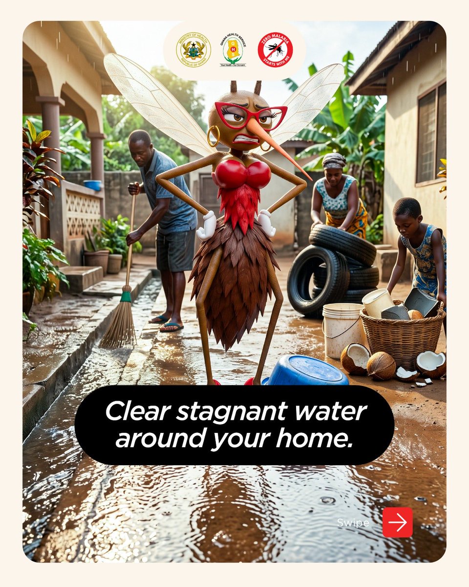 nmepgh's tweet photo. She's glamorous. She's ruthless. Her name is Killa Ntontom. 

Every puddle left uncleared, every container left open, every night without a net is an invitation she'll gladly take.

Let's shut her out for good.

Now We Can. Now We Must.

#NMEP #EndMalaria #ZeroMalariaStartsWithMe #DriveToEndMalaria #MalariaFreeGhana