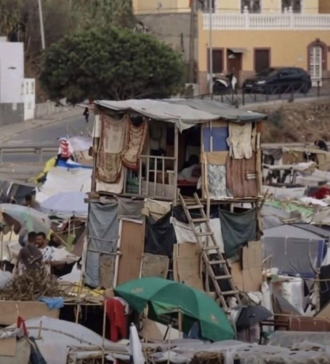 eldelaoposicion's tweet photo. La ESPAÑA 🇪🇸, del PSOE de PEDRO SÁNCHEZ, año 2026:

-Españolito en su propia casa, se la OKUPAN y si se le ocurre protestar le viene la administración encima ✖️

-Marroquí invade Ceuta, roba los materiales y se construye un dúplex encima de la arena mirando al mar ✅ https://t.co/qOPqTOFSvX