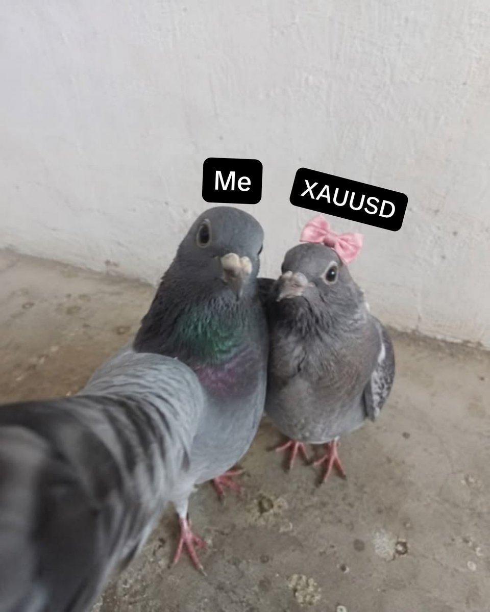 juliouszcge's tweet photo. The Love of my life 💗🧬 https://t.co/fwQNFdQXce