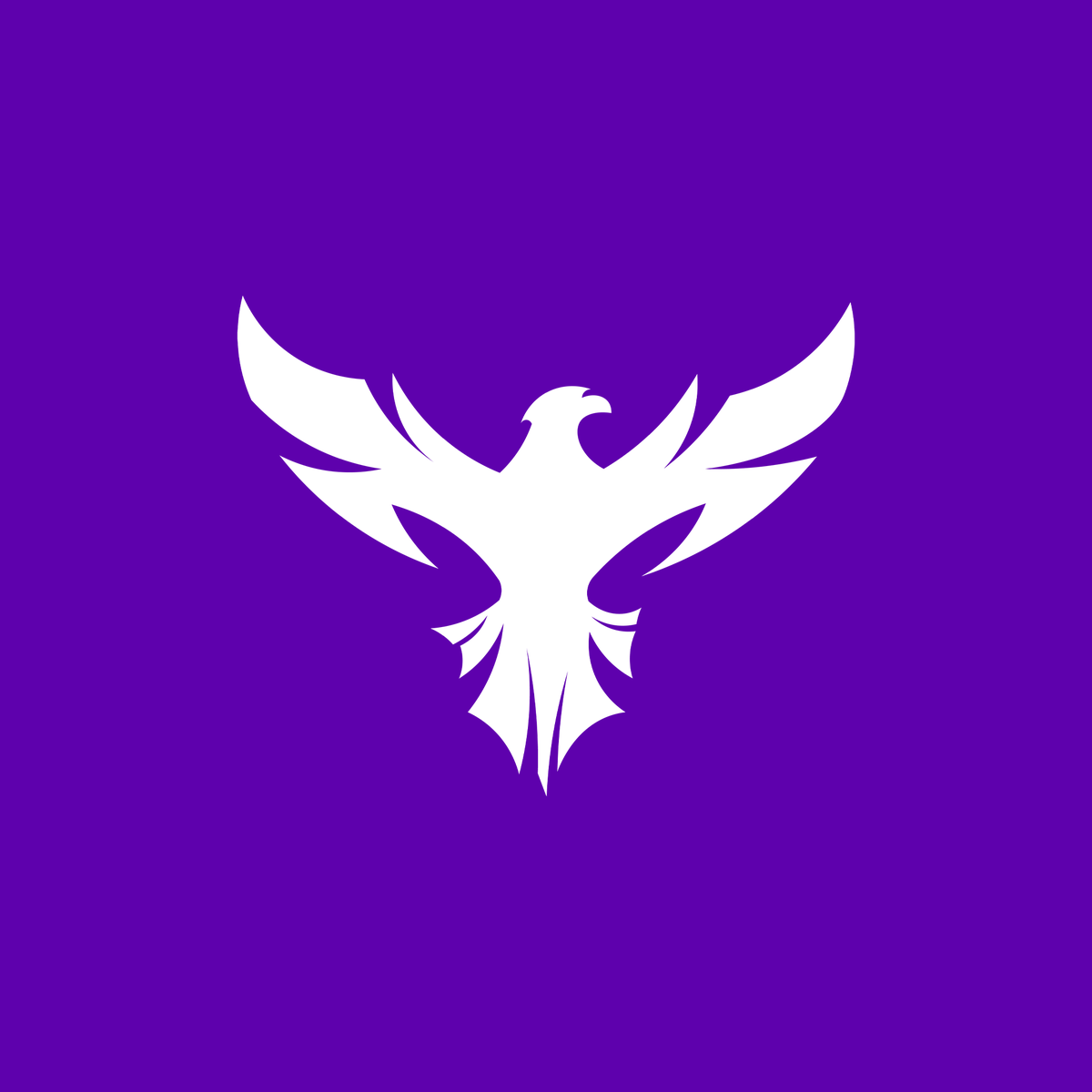 Sn1p3zzfn's tweet photo. With @hwkespgg officially starting back up, I’ve already put the necessary work and investment into giving the org a full rebrand.

Introducing the NEW hwk banner, new logo, and new jerseys.

Hope you all like the new look. This is only the beginning. 💜🖤🩶 https://t.co/XNLmrHMCOP