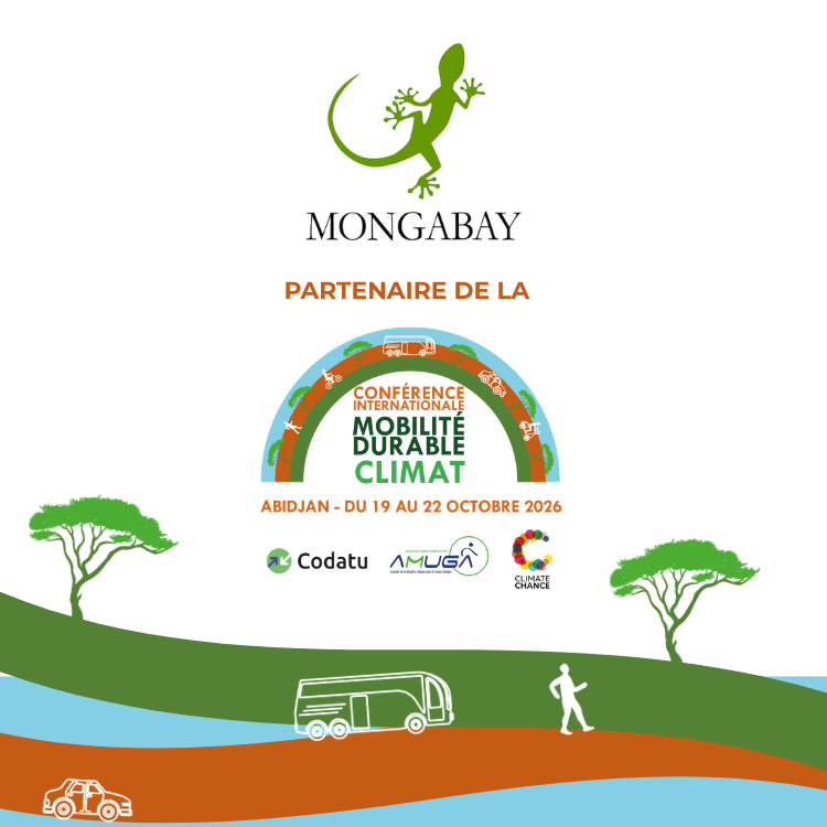 ClimateChance's tweet photo. 🌍Mongabay, partenaire de la #CIMDC2026 !

Nous sommes heureux de compter ce media parmi les partenaires de la Conférence Internationale de la Mobilité Durable et du Climat.

Proud to welcome Mongabay as a #CIMDC2026 partner!

🗓️20-21 October | Abidjan
👉https://t.co/nax0HBAjyf https://t.co/5vT79ukrN0