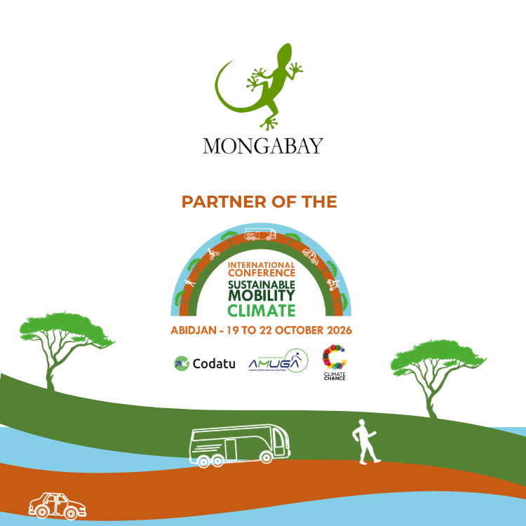 ClimateChance's tweet photo. 🌍Mongabay, partenaire de la #CIMDC2026 !

Nous sommes heureux de compter ce media parmi les partenaires de la Conférence Internationale de la Mobilité Durable et du Climat.

Proud to welcome Mongabay as a #CIMDC2026 partner!

🗓️20-21 October | Abidjan
👉https://t.co/nax0HBAjyf https://t.co/5vT79ukrN0