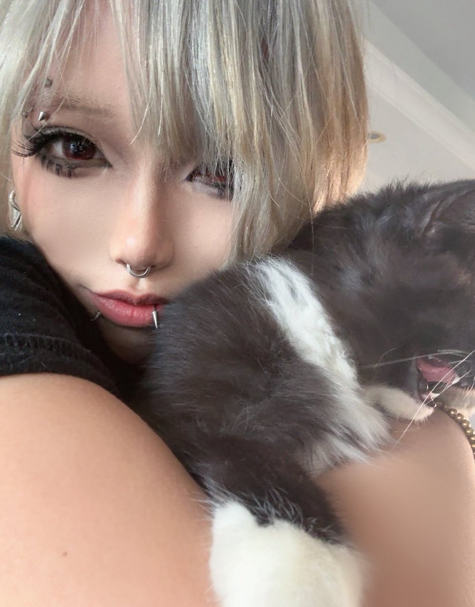 NightInJune7's tweet photo. 所有的小猫都不喜欢看镜头 https://t.co/JUCS2fiRy5