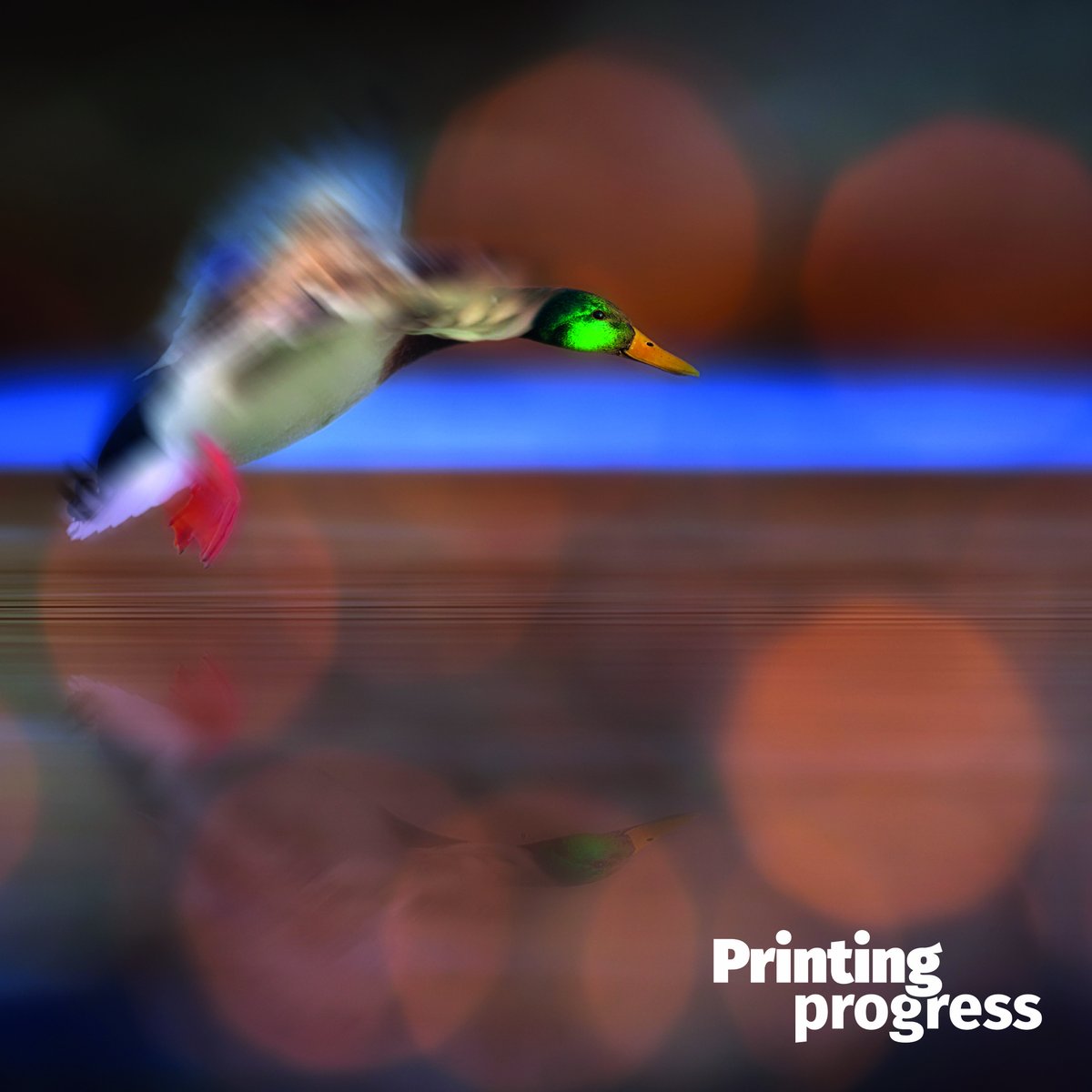printingprogres's tweet photo. Design. Print. Impress. Repeat. 🔄 #GraphicDesign #PrintServices
https://t.co/RAjIZziRfx https://t.co/6lm6hn0Xqd