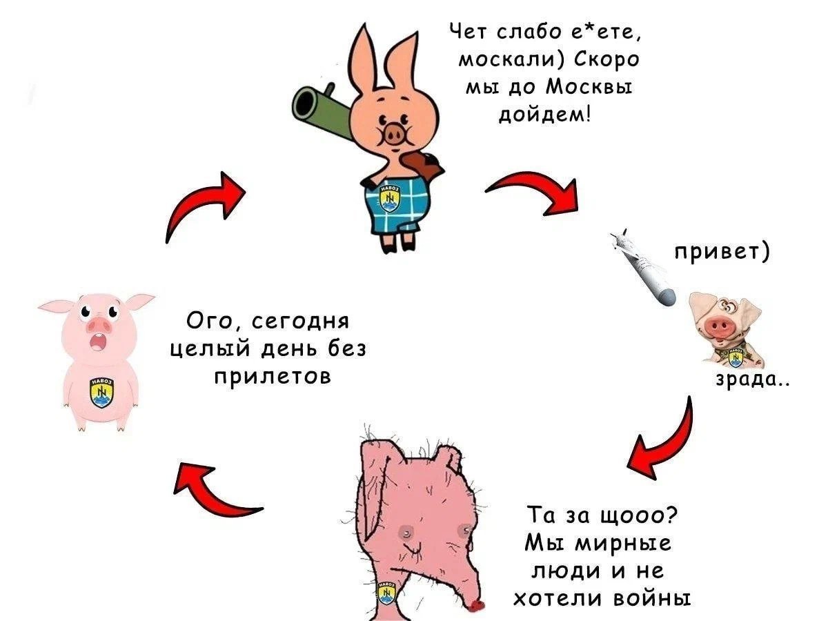 KseOxa's tweet photo. @angelshalagina https://t.co/1ld8bXLlEl