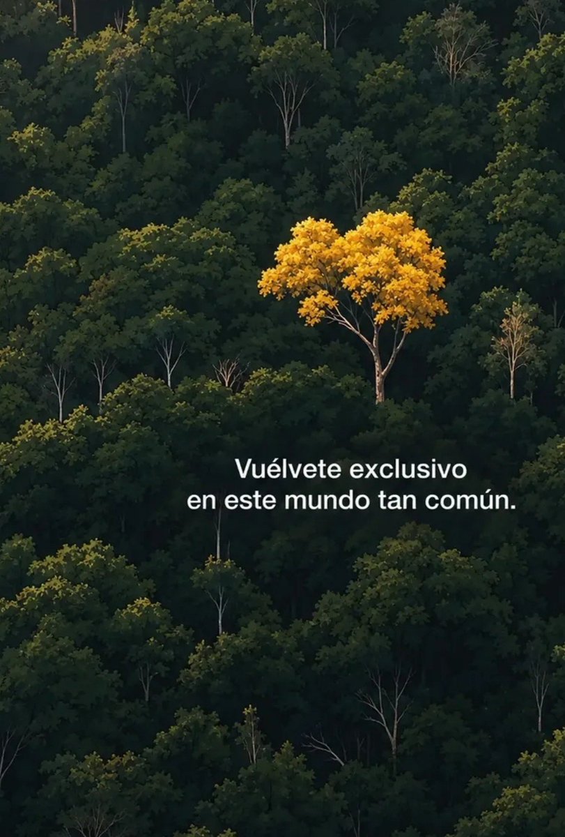 MiSilencioyTu's tweet photo. Vuélvete...
Buenos días 🍃 https://t.co/jwkmDmvBtd