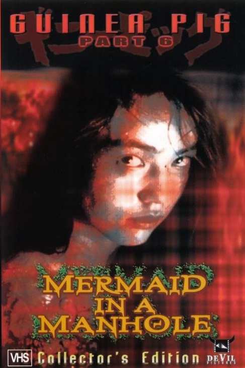 LeFreakyCast's tweet photo. Pour notre 3e titre, place à Hideshi Hino avec Mermaid in the Manhole, l’occasion pour nous de revenir sur cette série culte du V cinéma que sont les Guinea Pig

https://t.co/NmixoSawV5 https://t.co/NrKSJNtwus