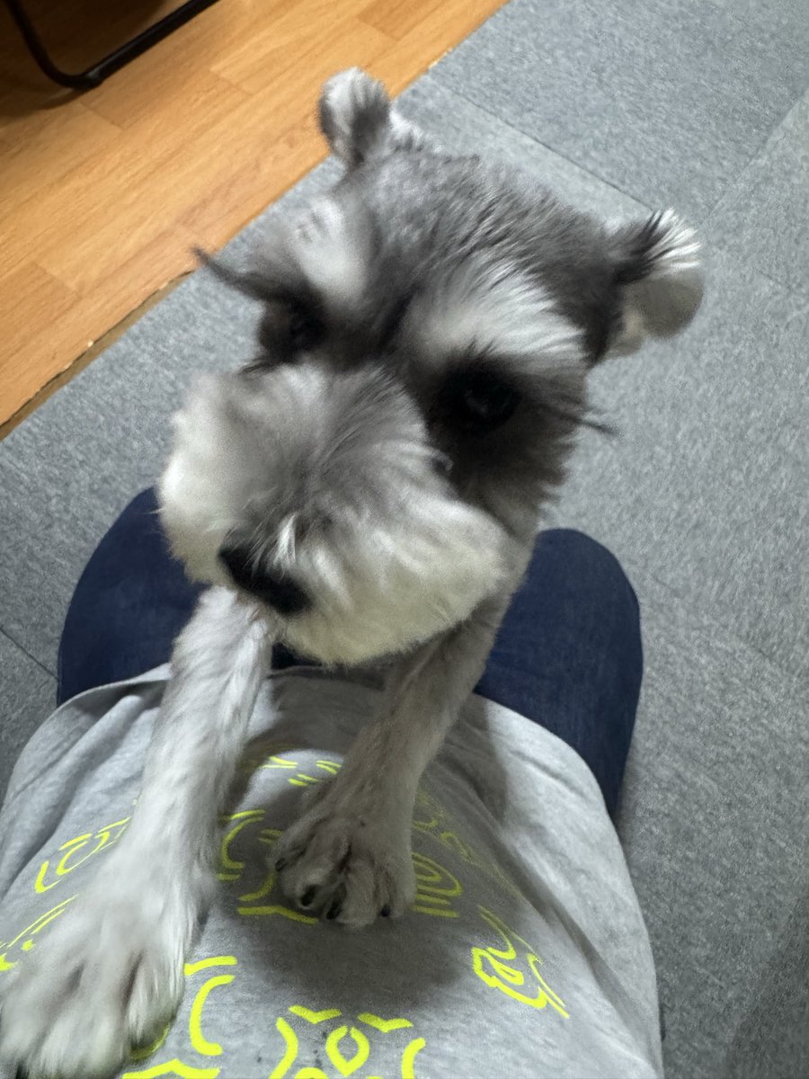 kaitotto0125's tweet photo. ただいま函館！
ただいまピノたん！ https://t.co/I1q9r9lYWp