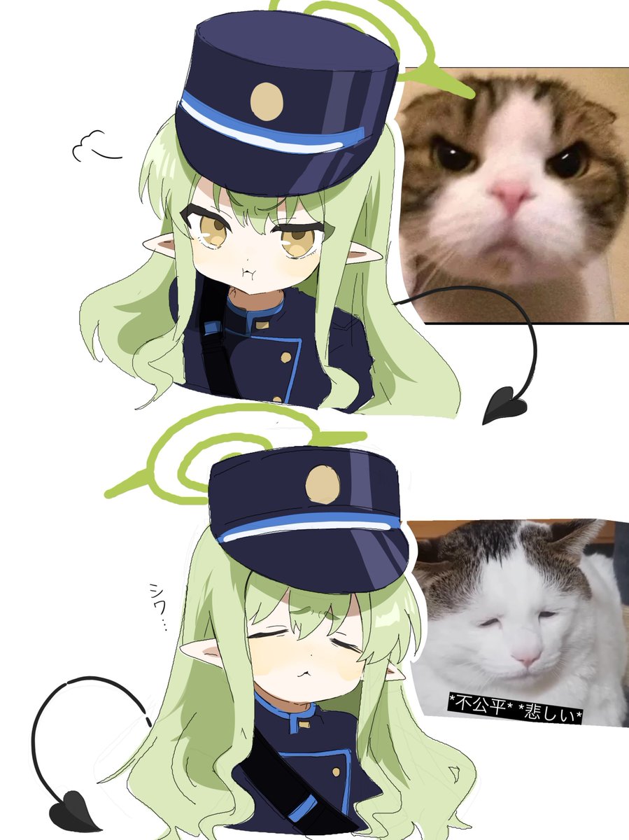 TKNnanban0000's tweet photo. ぷんぷんとシワシワなヒカリ😼 https://t.co/aGITiKuXMb