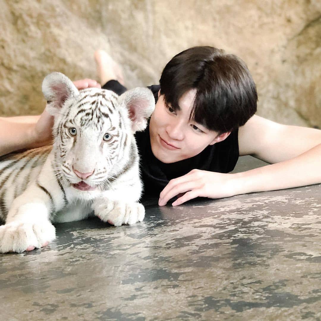 dalega23's tweet photo. Harimau aja tau mana yang nyimut
#tingmeen https://t.co/MLpmMl7NDm
