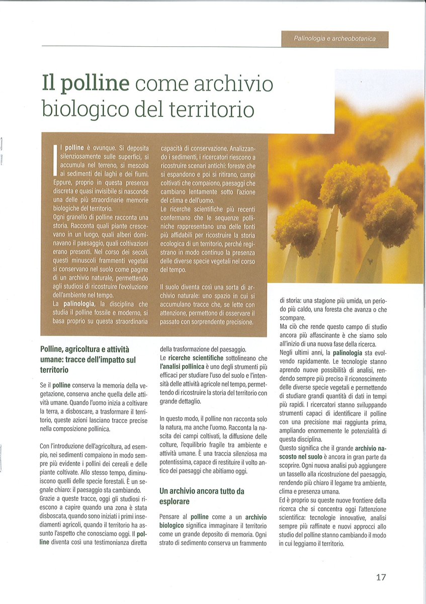 CAAPalinologia's tweet photo. 📷 sfoglia le pagine di 𝐄𝐂𝐎𝐋𝐎𝐆𝐆𝐈 dedicate al polline! 
Clicca sui link per ulteriori approfondimenti: https://t.co/qxII8hAl5Q
📷 Foto estratte da ECOLOGGI, notiziario del Centro Agricoltura Ambiente "G. Nicoli" srl, anno 4, settembre 2026 n. 5 - https://t.co/W3D32Hf3ay https://t.co/kkvbNoZNT8