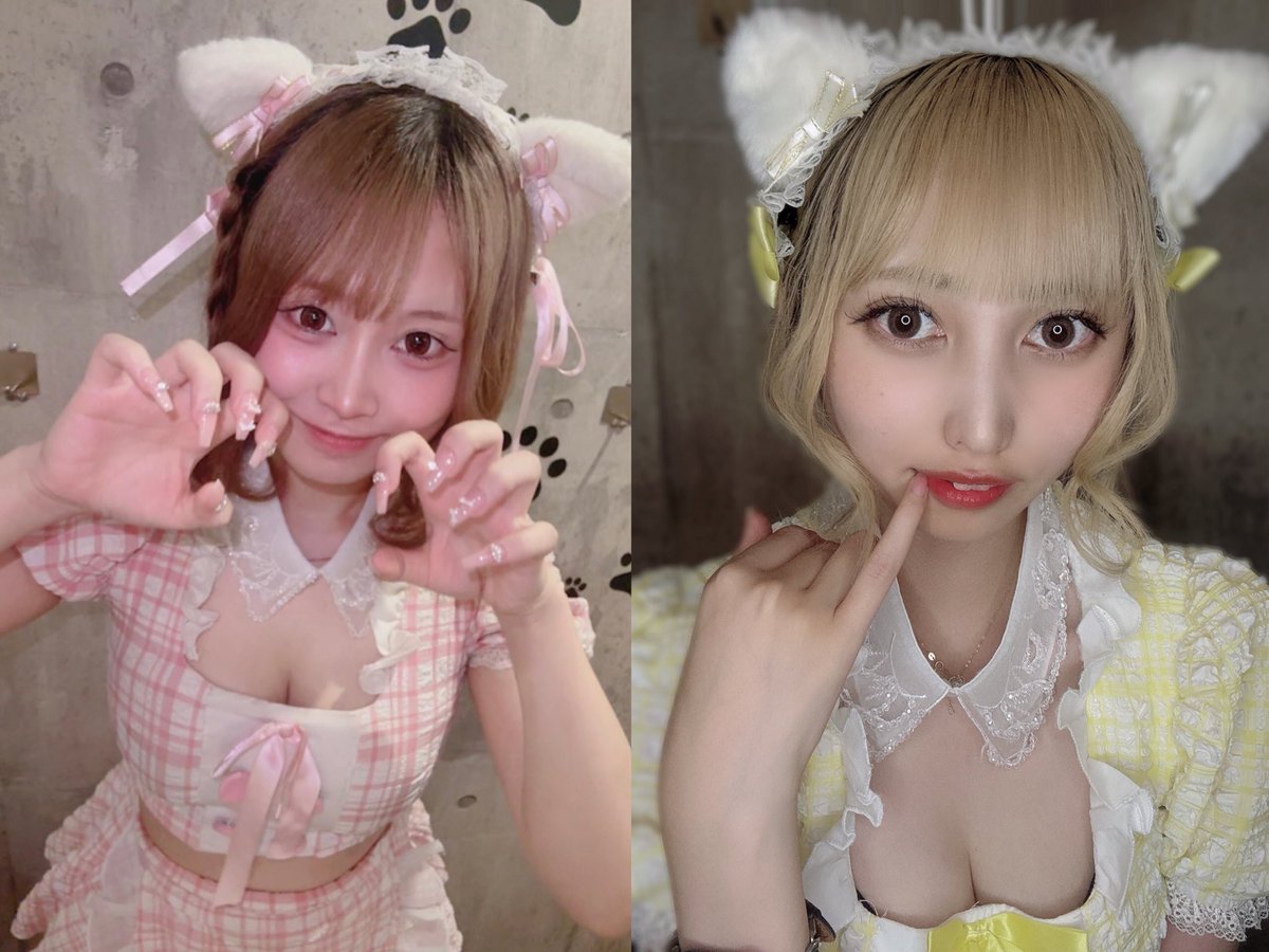 sendai_camulemo's tweet photo. 🦊9/24出勤メンバー🦊

21時
かぐら@CAGURA_sendai 
みみみ@333mimimi__ 

22時
てん@_ten_ooo  
ほのぴす@1113ty0618 

24時
ピピ@CL_pipi 

ご帰宅お待ちしております🙇‍♀️ https://t.co/X6nFOup5dQ