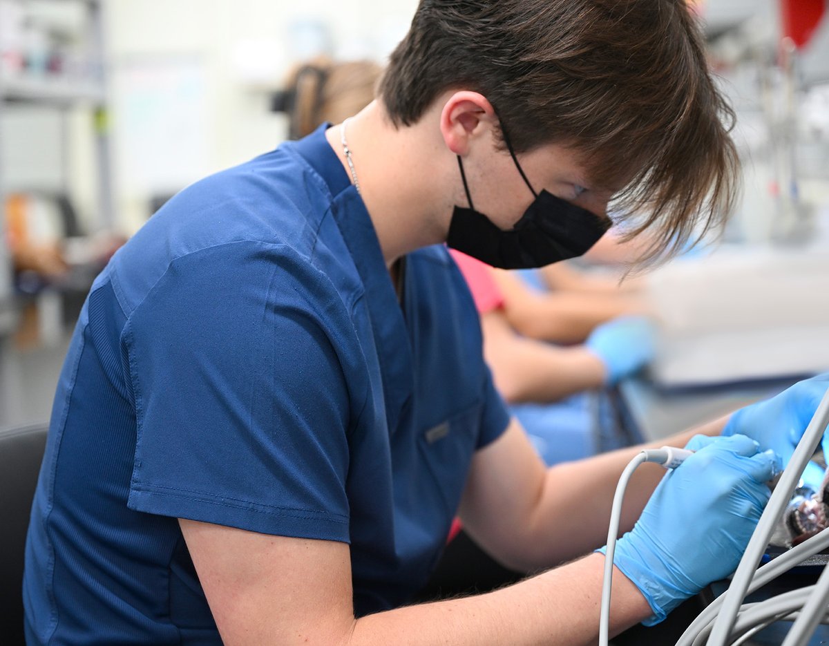 ISUVetMed's tweet photo. OPEN WIDE. A new @ISUVetMed dentistry elective course will further elevate “day one competencies” of future Iowa State DVM graduates. The elective course is an introduction and overview of veterinary dentistry and oral surgery. #developdiscoverdeliver 

https://t.co/zC5E5R161O https://t.co/pdLVo406bV