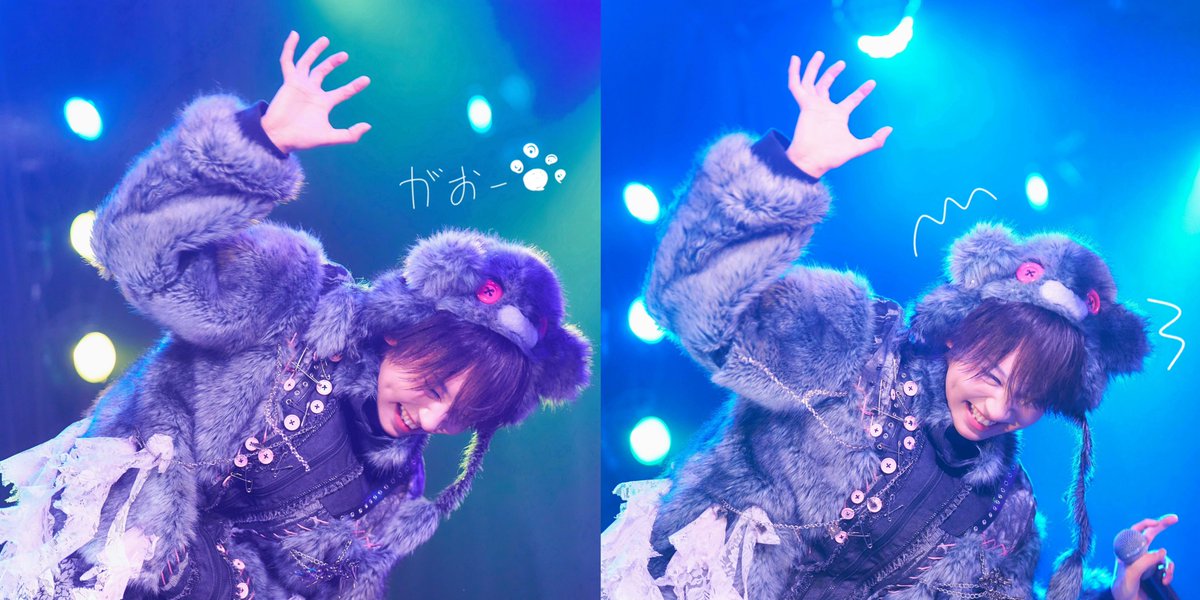 nemuta14o_'s tweet photo. もぐもぐたいようとがおーたいよう 🐾♡ https://t.co/bNndp9Briu