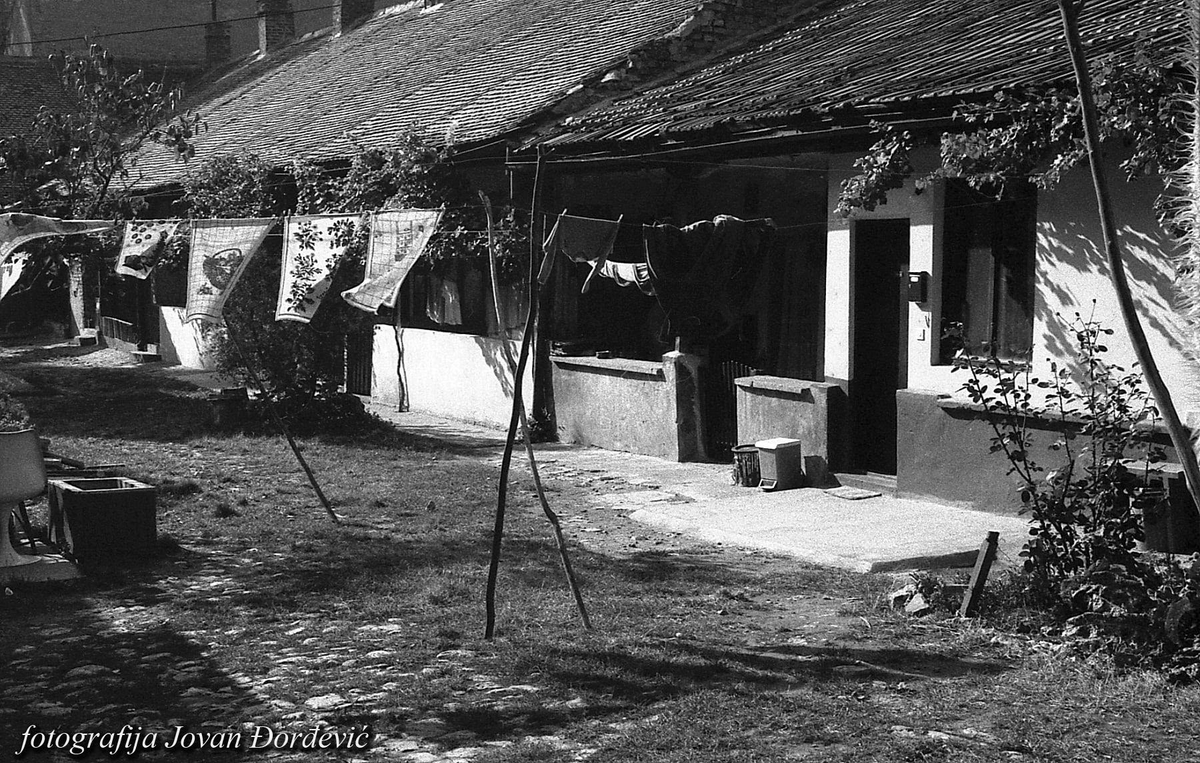 todDM53izjASpRe's tweet photo. " D V O R I Š T E " 👀
Ulica Gavrila Principa 1987.godina
Zajedničko dvorište sa više omanjih kuća, danas su postala retkost
Snimak Jovana Đorđevića iz foto-monografije "Beograd naše mladosti" https://t.co/9EcQEoCFCD