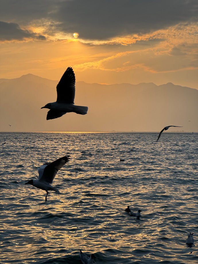 selvy06009932's tweet photo. Just stumbled on a hidden seaside cove at golden hour—waves glinting, seagulls calling, and not a single tourist in sight. Pure magic, I’m never leaving! https://t.co/wuixxtzNqt