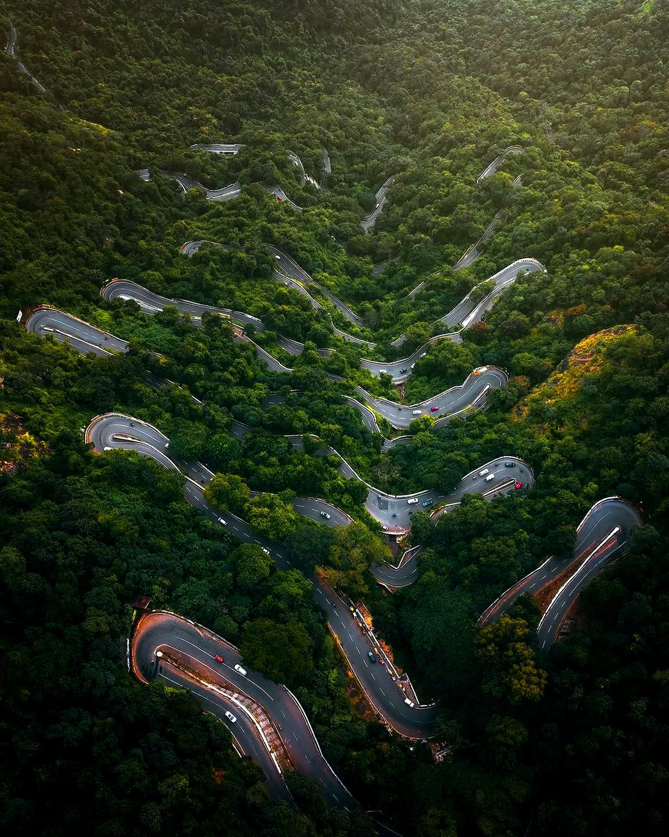 IndiaAesthetica's tweet photo. Road to Yercaud in Salem, Tamil Nadu 🛣️🌺🌳🇮🇳 https://t.co/492YVgN0mE