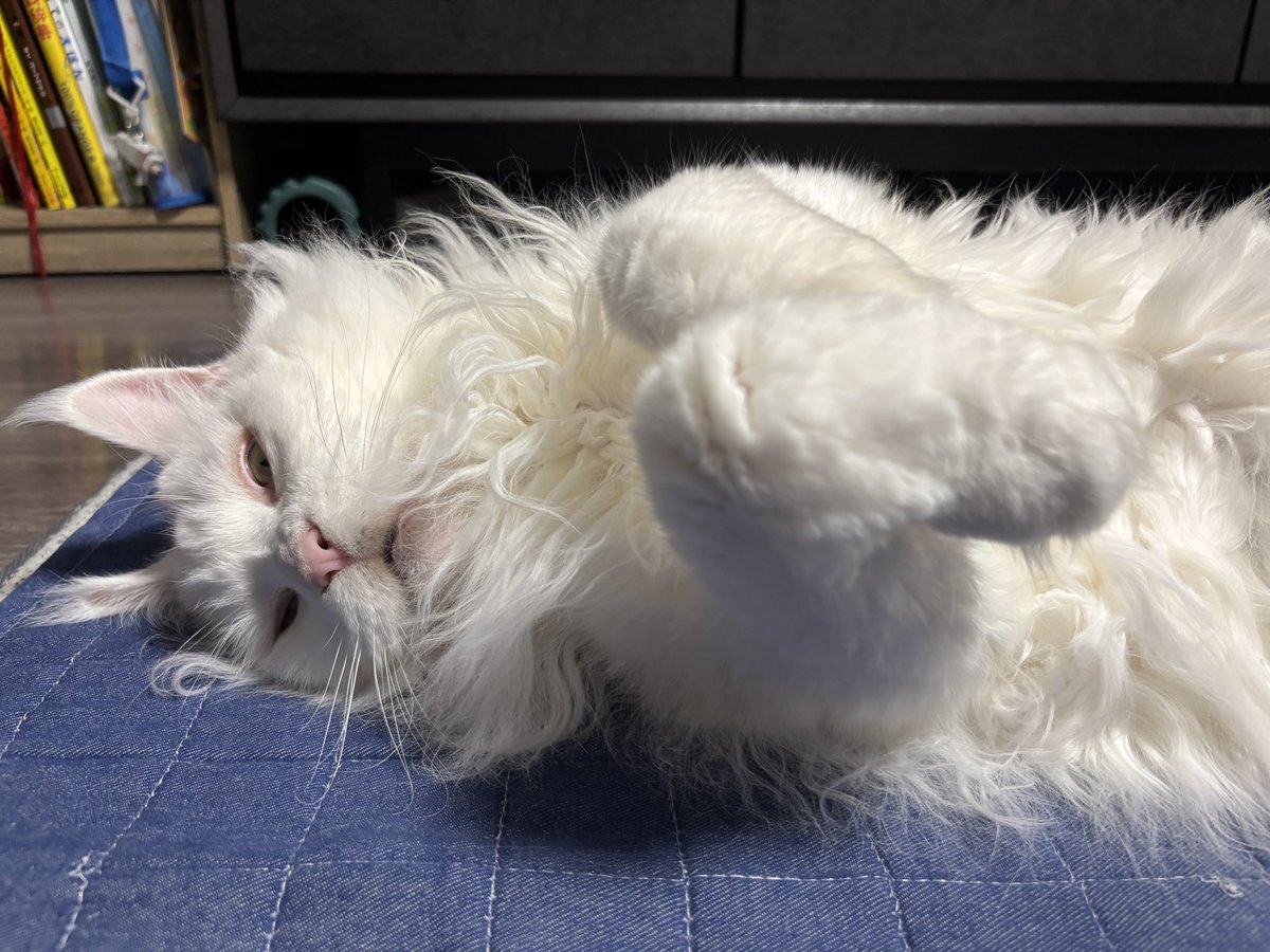 ussher501's tweet photo. おばけじゃん https://t.co/bWh5WngxVh