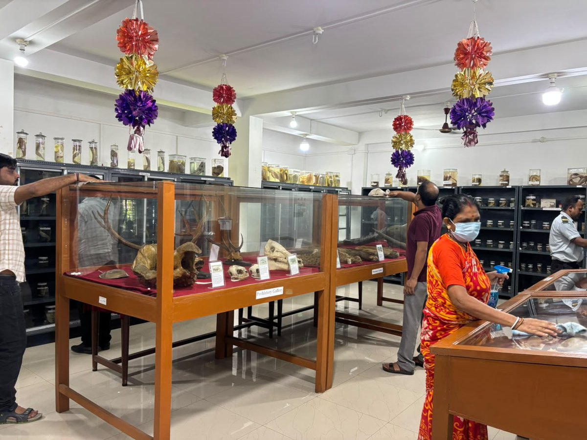 SbrcZsi's tweet photo. Special Campaign 6.0
As part of Special Campaign 6.0, Zoological Survey of India (ZSI), Sunderban Regional Centre (SbRC), Canning identified the area for cleanliness and improvement activities.
📍 Before – Site Condition
#SpecialCampaign6_0 #ZSI #SbRC #Canning #Swachhata https://t.co/iKp5cvlxm9