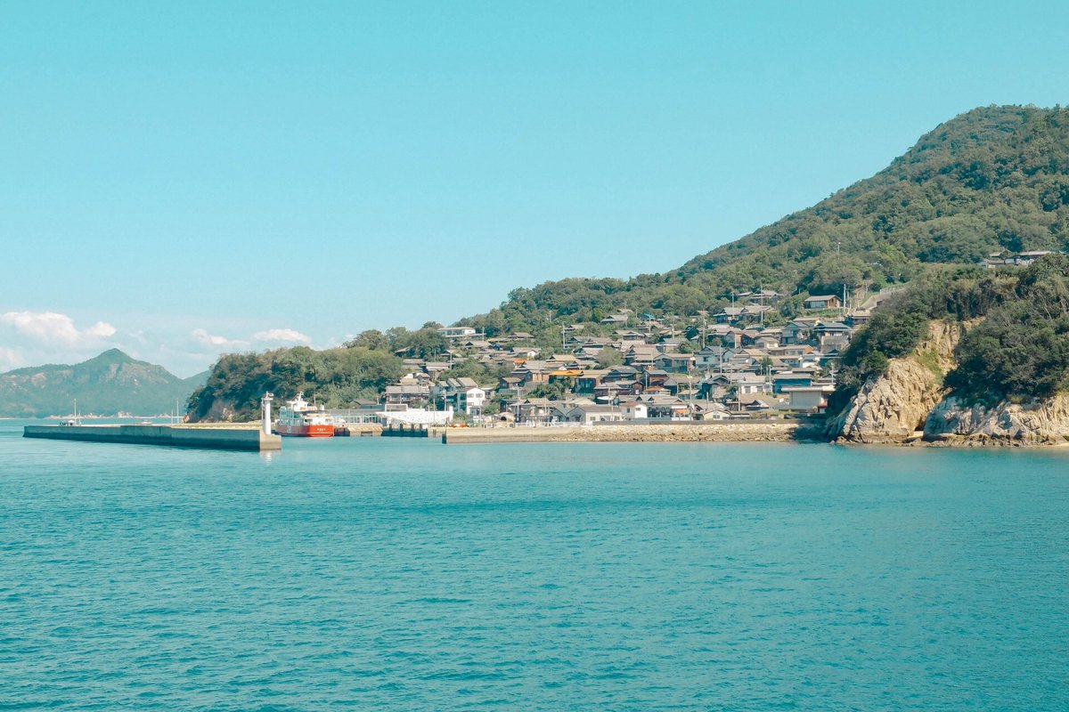 bukkisab's tweet photo. 猫まみれの島🐈 https://t.co/dlbc2n8jKU
