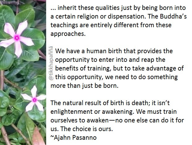 tikkhapanna's tweet photo. Virtue and wisdom cannot be conferred through some special relationship with a deity or a higher being. One can’t ...

#Buddhism #Theravada #virtue #wisdom https://t.co/xeQRmv1vyX