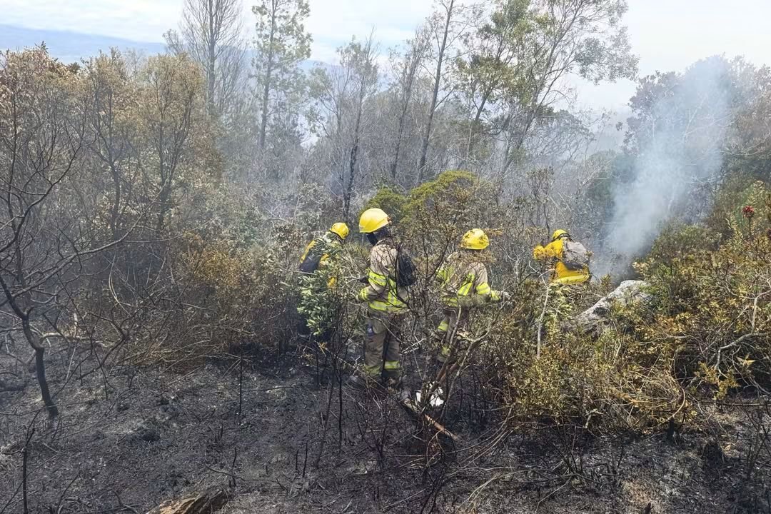 UNGRD's tweet photo. 🔥 #IncendioForestal | El incendio en el cerro de San Marcos, entre Villa de Leyva y Chíquiza, alcanza un 90 % de control y se encuentra confinado.

La emergencia deja, de manera preliminar, cerca de 1.480 hectáreas afectadas, 715 de ellas en el Santuario de Flora y Fauna Iguaque. La operación articulada ha contado con seis aeronaves, 299 descargas y 470.000 litros de agua.

Para avanzar en su liquidación, se mantendrán siete helicópteros, monitoreo con drones y personal especializado en tierra. La UNGRD continúa coordinando la respuesta junto con las autoridades de Boyacá y las entidades del @SNGRDColombia .