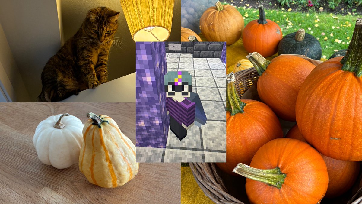 ratzmeow's tweet photo. AUTUMN STREAM RATZ RAMBLES
#IllusionSMP 

https://t.co/BLHDi3z6Bs https://t.co/QiGSpfC9oj
