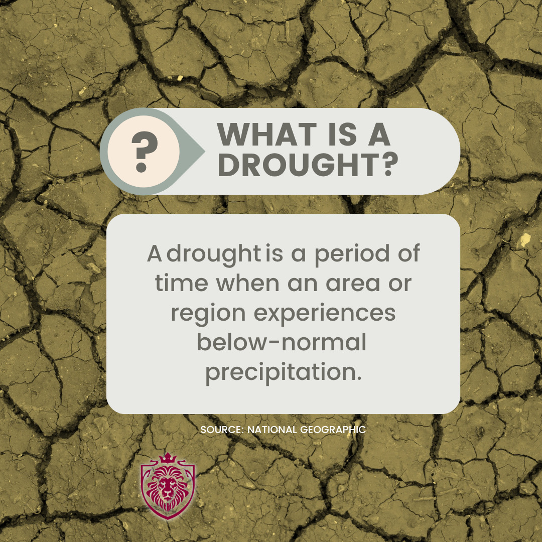 ACIG3089's tweet photo. Is your area at risk of a drought? #insurance #yourhometownagency #commercialinsurance #generalliabilityinsurance #naplesfl #localagent #broker #acig

Contact us at 239-544-5100 or dylan@acig.pro https://t.co/5TWmBO4KUS
