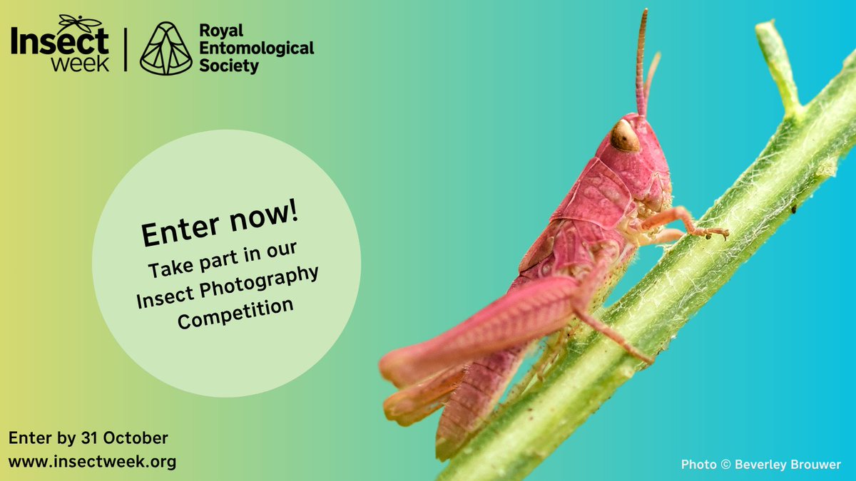 RoyEntSoc tweet picture