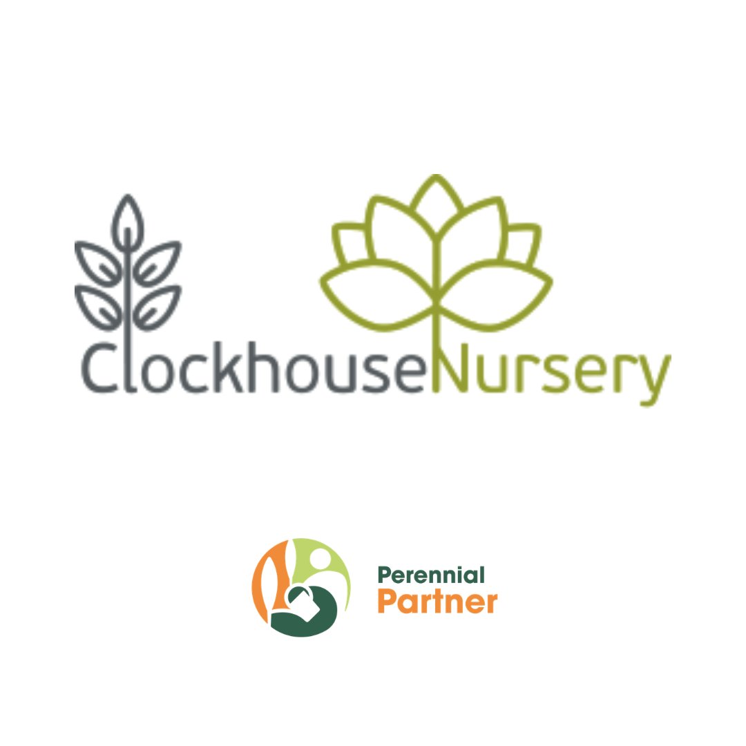 PerennialGRBS's tweet photo. Huge thanks to https://t.co/OqpHzO0Vpr for renewing as a Platinum Perennial Partner.

Their generosity could provide free legal advice to 30 people facing homelessness 💚

Read about our Partners and how to get involved: https://t.co/gp7SRKxr8x

#PerennialPartners https://t.co/ZhH52e9zGT