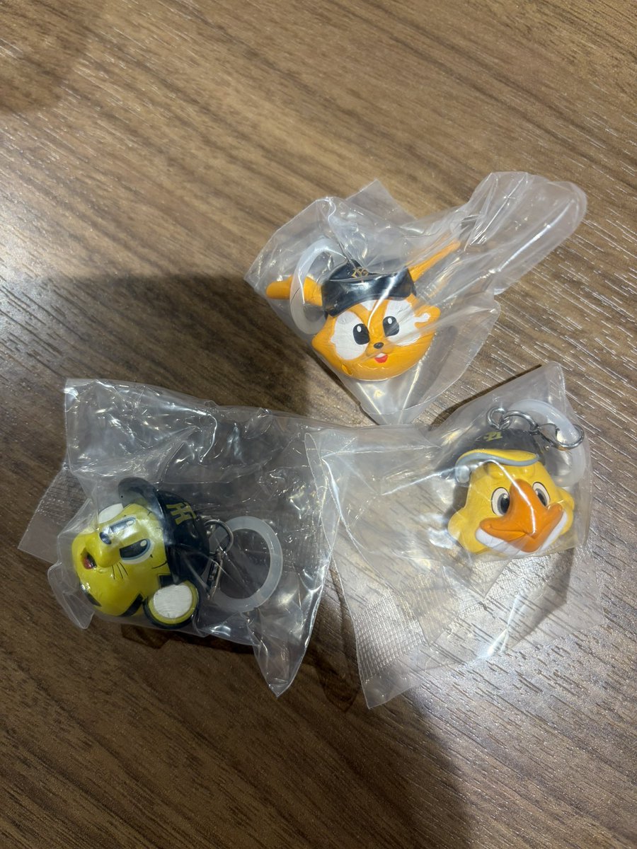 daisy_o_o's tweet photo. 【交換】プロ野球マスコット めじるしアクセサリー

【譲】トラッキー ジャビット ハリーホーク
【求】スターマン バファローブル レオ

札幌市内手渡しもしくは郵送交換希望です。
検索からもお気軽にお声がけください！

※纏めての方優先 https://t.co/hbi1LK7VLn