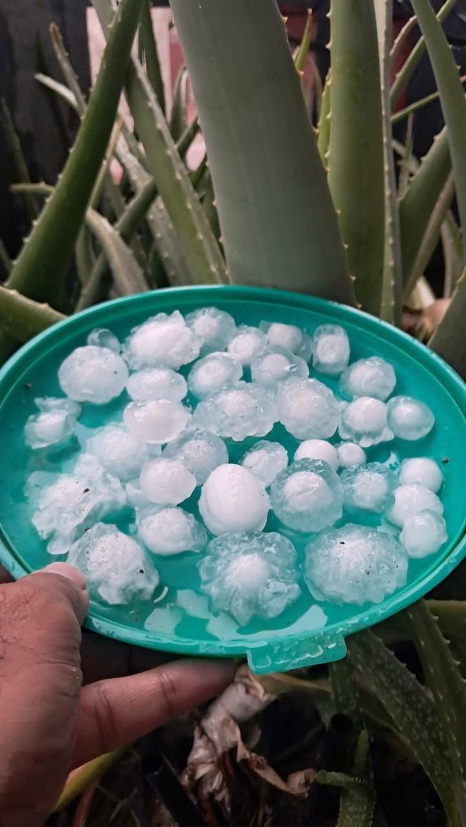 weatherwalay's tweet photo. 🛑 اسلام آباد اور گردو نواح میں طوفانی بارش اور شدید ژالہ باری، ژالہ باری کے باعث گاڑیوں کو بھی نقصان.. https://t.co/qi7XiUgLrV