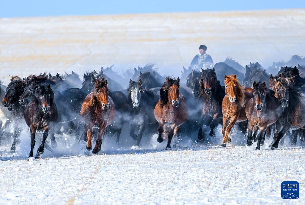 yism2000's tweet photo. Amazing 2024 Dongju equestrian art: frozen horse gallop with heroic spirit!， https://t.co/5bU5Afg6tt