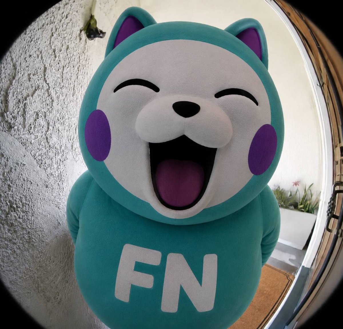 FatNeko_hl's tweet photo. do you open the door or not? https://t.co/lZ23ifsqEQ