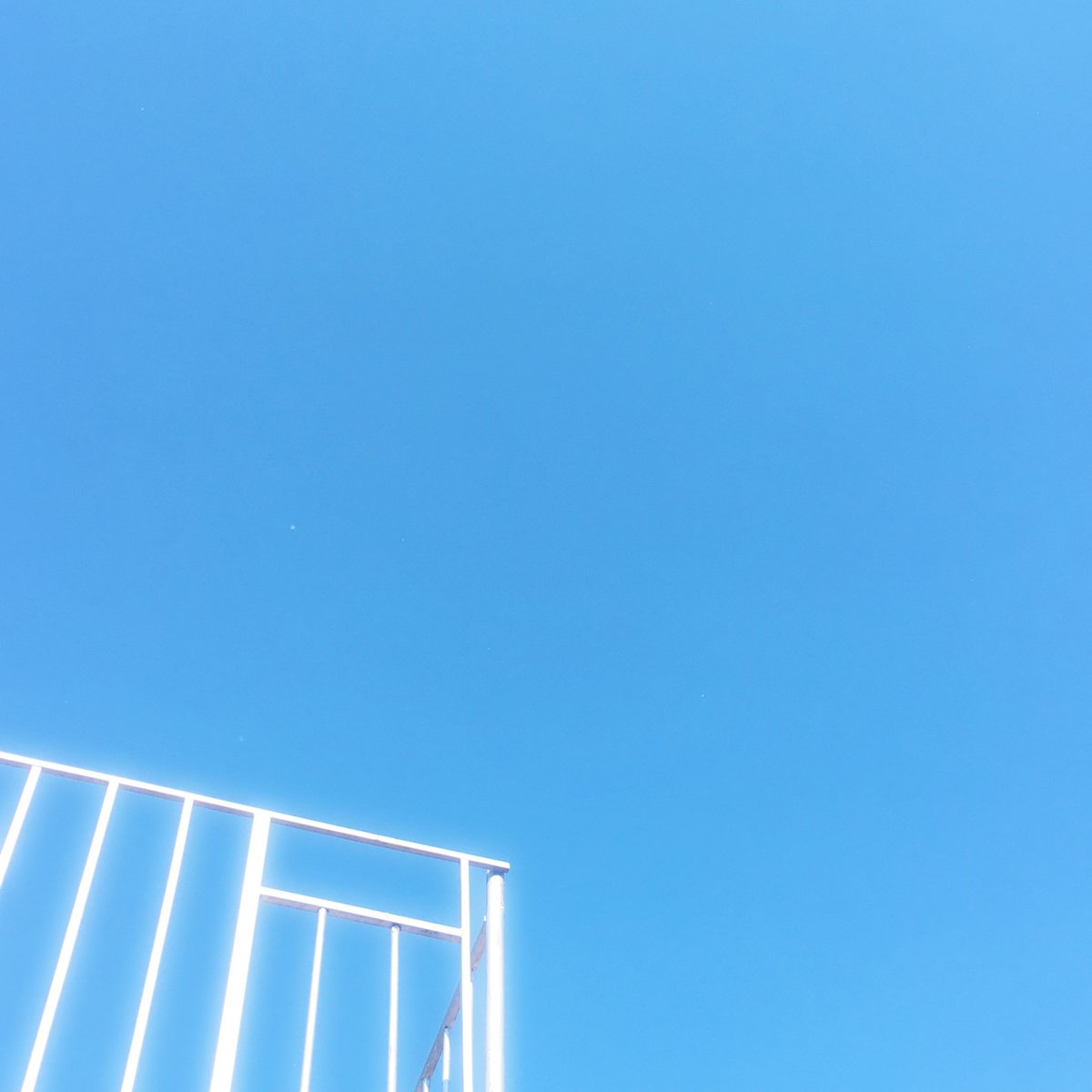 winrose1004's tweet photo. untitle https://t.co/isEunj81t4