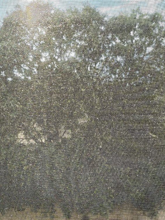 DHECCA_'s tweet photo. La mirada transfigurada: Lo que se oculta detrás del velo por Dosmilcien / The Transfigured Glance: What Hides Behind the Veil by Dosmilcien 

 #FOTOGRAFÍA #PHOTOGRAPHY

https://t.co/Zrn3LKeTKx https://t.co/Nk2e7Ay2z1