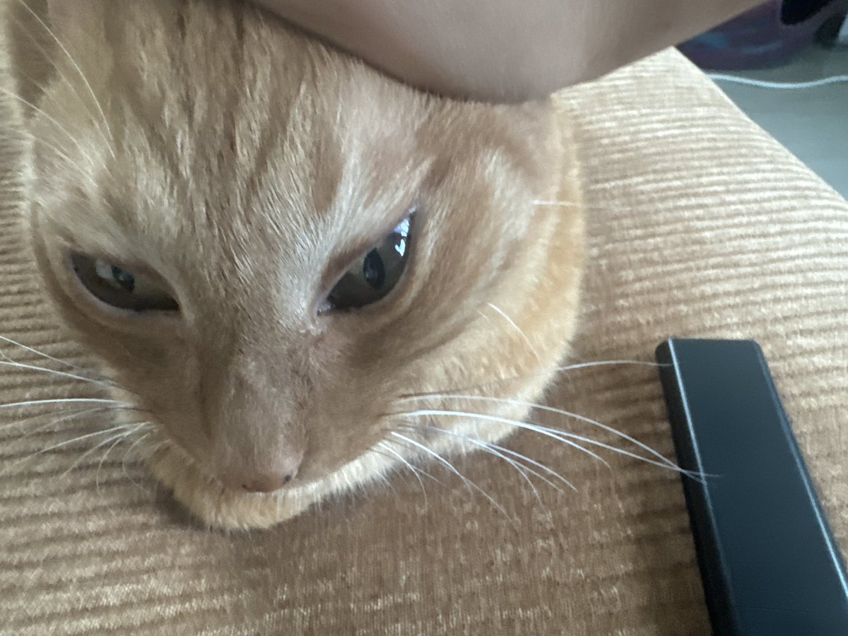 6th_Saturday's tweet photo. 추석에는     복을
   박박 받 아 https://t.co/K4sLjNKnYW