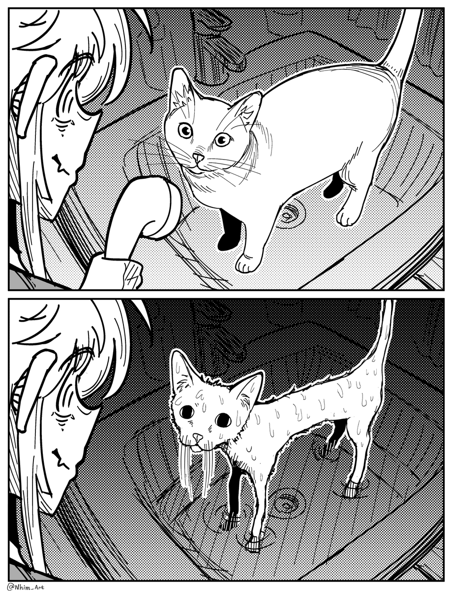 Nhim_Art's tweet photo. Cat Bath. https://t.co/Z4cErmAyCY