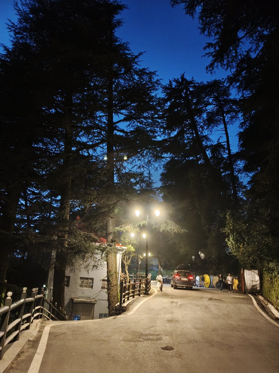 TanuSharma__'s tweet photo. A little paradise wrapped in moonlight. 🤍🌌” https://t.co/ln42fKyruI