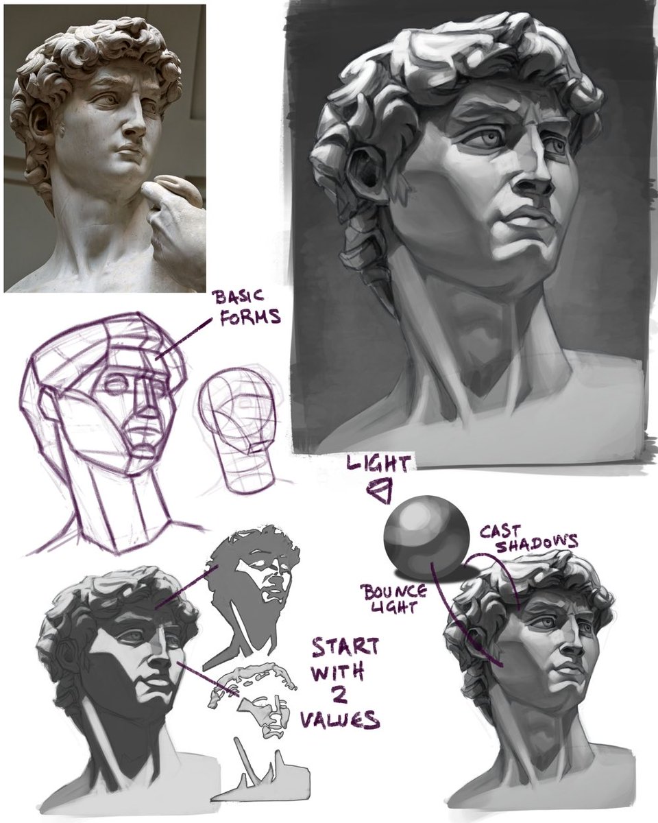 back2drawing's tweet photo. Statue studies for portrait practice https://t.co/99ChXCrPdQ