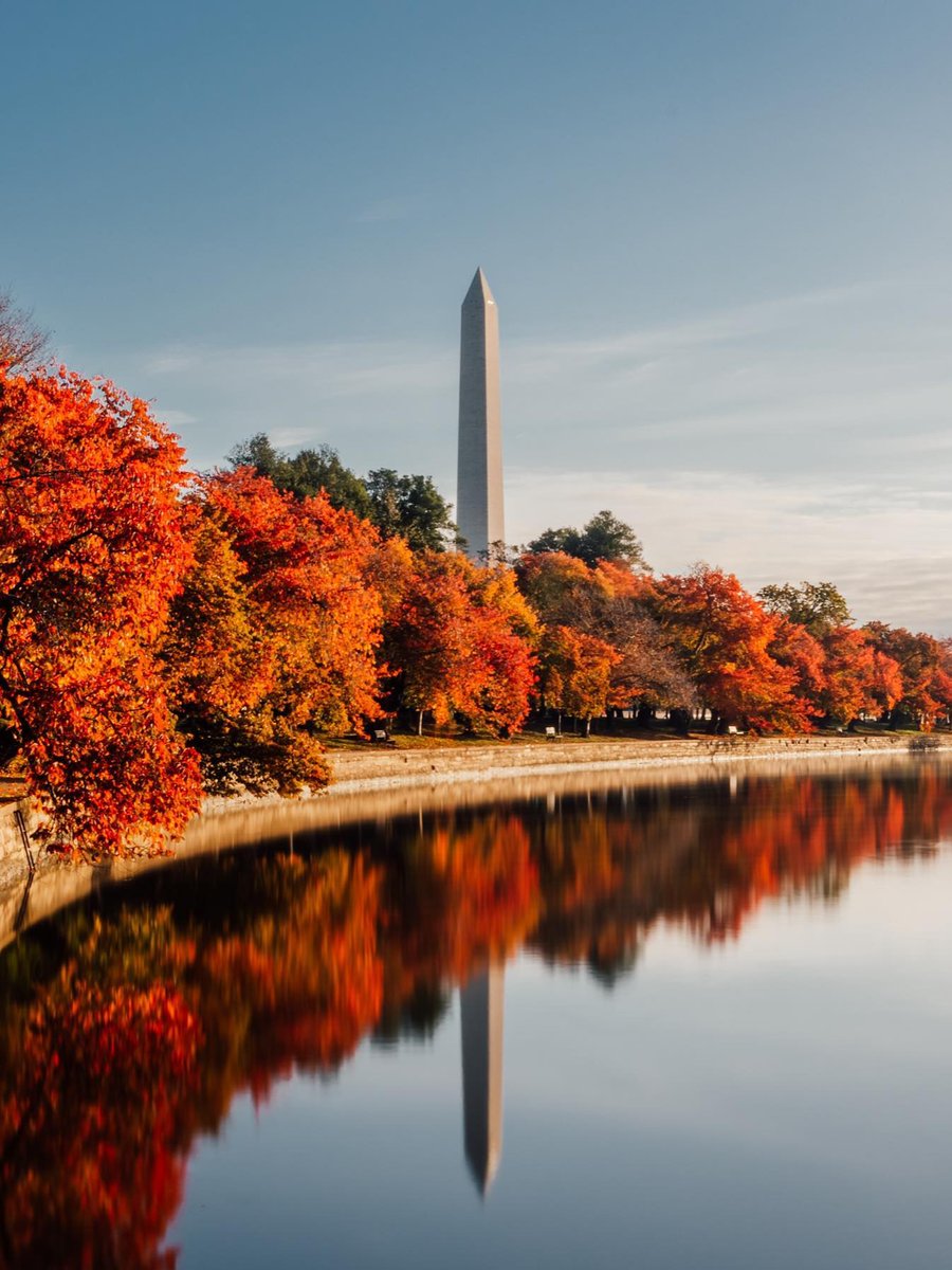 washingtondc's tweet photo. Hello, fall. 🍂🤎

🔗 Find things to do in DC this fall: https://t.co/MRZchCuH97

📸: theterencechau, edgardavisp, districtinfocus, pharipedia / IG #Only1DC #FallinDC https://t.co/aY3Lbmw23F